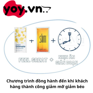 Dinh YOY